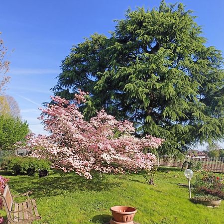 B&B Il Melograno Lomazzo Exterior photo
