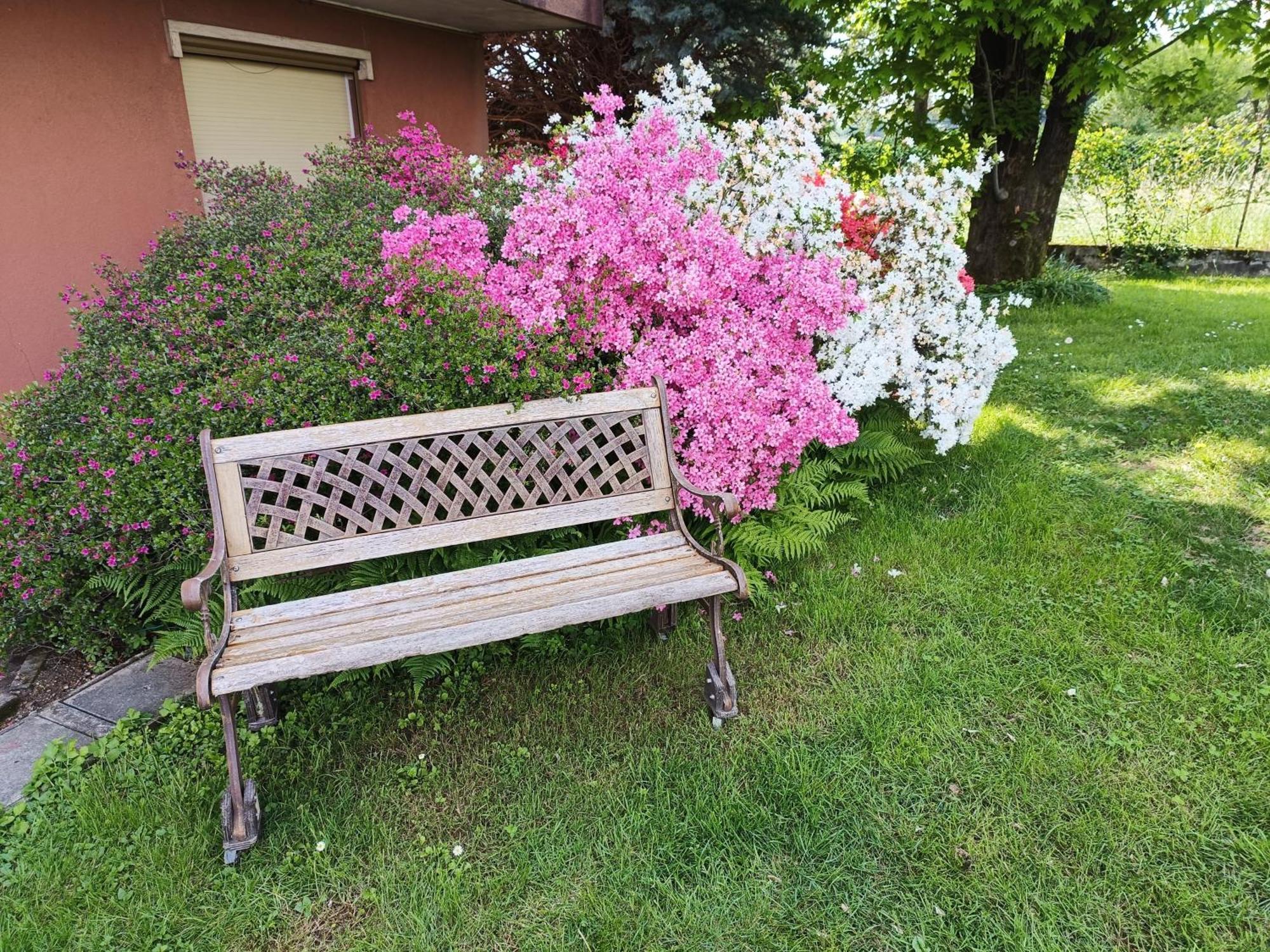 B&B Il Melograno Lomazzo Exterior photo