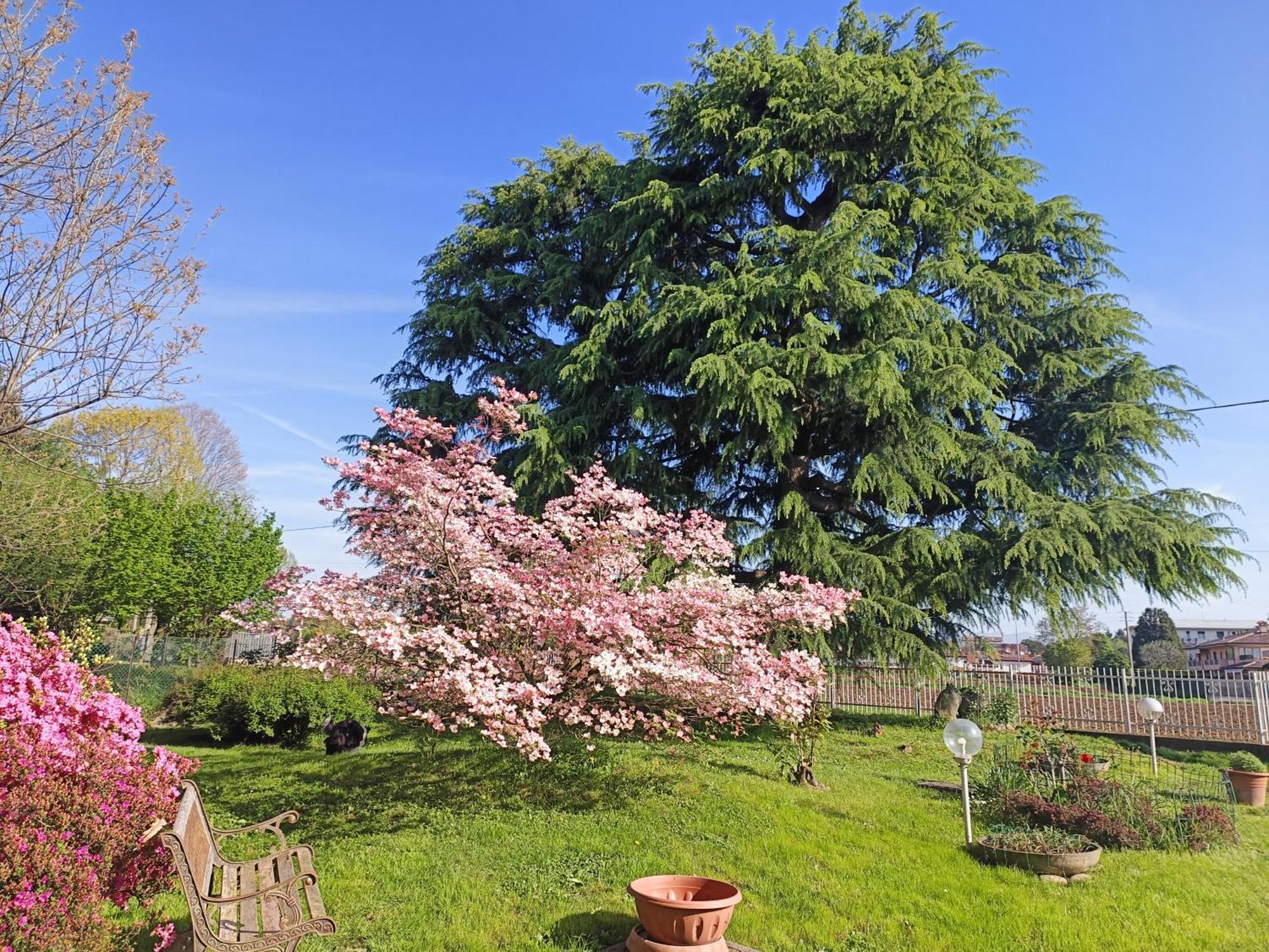 B&B Il Melograno Lomazzo Exterior photo